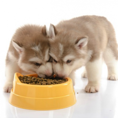 สูตรอาหารตามช่วงอายุ (Nutrition)